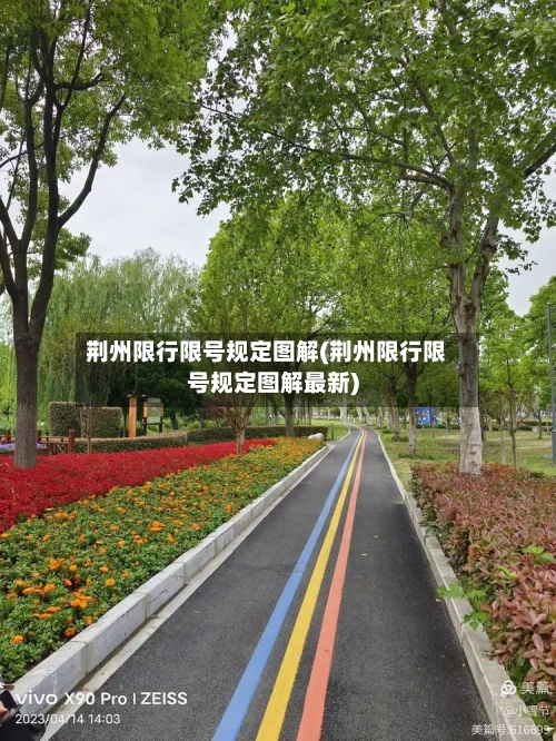 荆州限行限号规定图解(荆州限行限号规定图解最新)