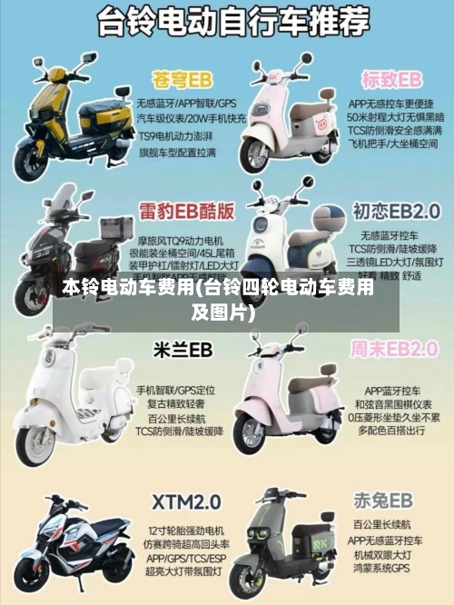 本铃电动车费用(台铃四轮电动车费用及图片)-第3张图片