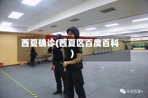 西夏确诊(西夏区百度百科)-第2张图片