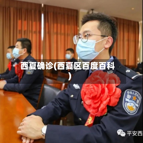 西夏确诊(西夏区百度百科)-第3张图片