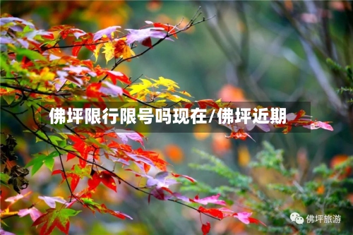 佛坪限行限号吗现在/佛坪近期-第2张图片