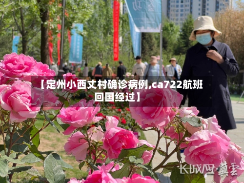【定州小西丈村确诊病例,ca722航班回国经过】-第3张图片