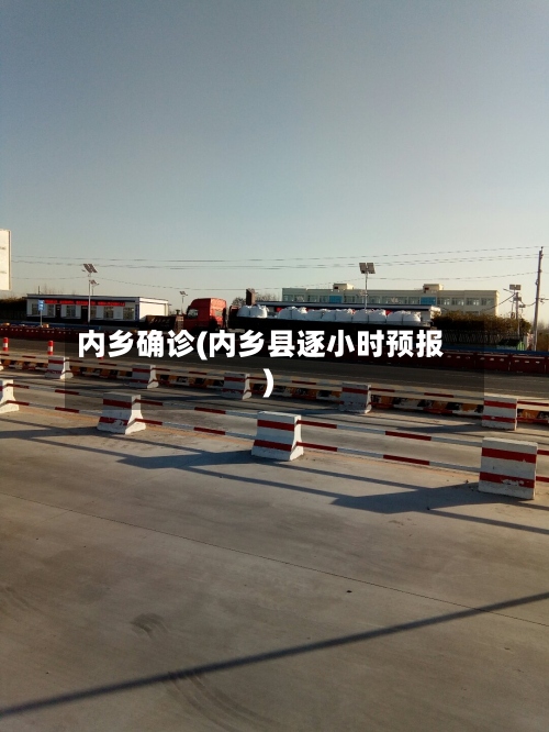 内乡确诊(内乡县逐小时预报)
