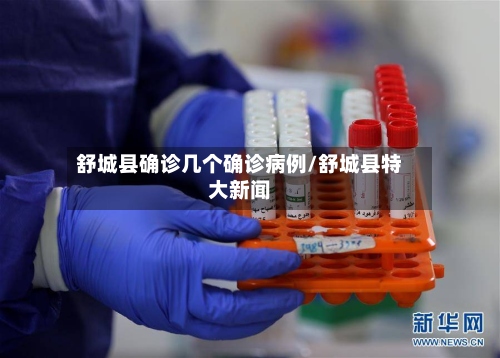 舒城县确诊几个确诊病例/舒城县特大新闻-第3张图片
