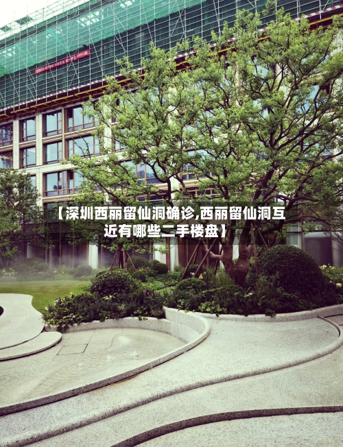 【深圳西丽留仙洞确诊,西丽留仙洞互近有哪些二手楼盘】-第2张图片