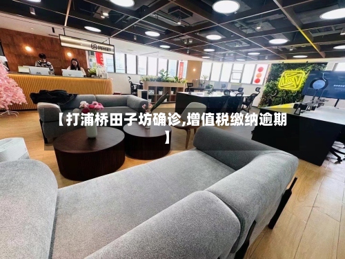 【打浦桥田子坊确诊,增值税缴纳逾期】-第2张图片