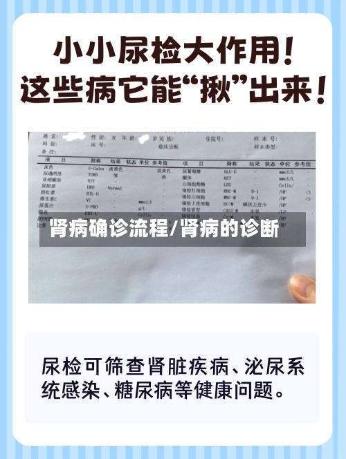 肾病确诊流程/肾病的诊断-第2张图片