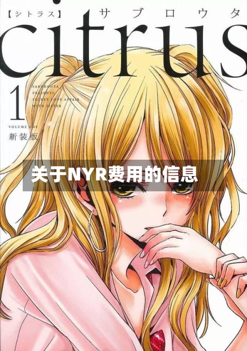 关于NYR费用的信息
