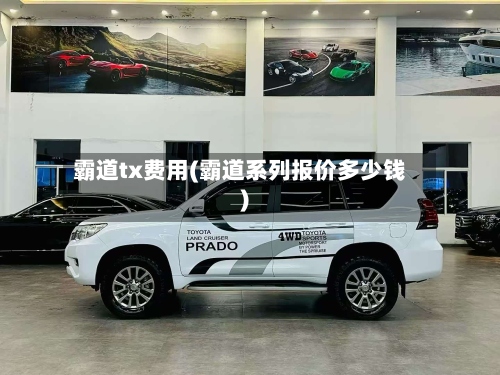 霸道tx费用(霸道系列报价多少钱)