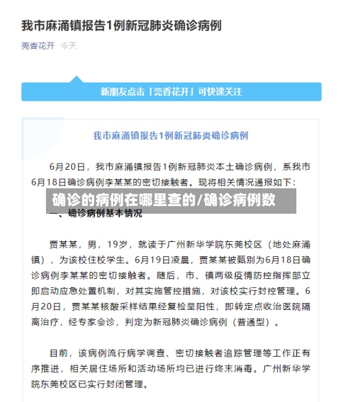 确诊的病例在哪里查的/确诊病例数