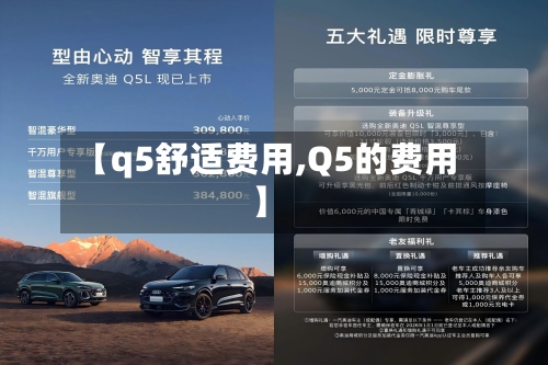 【q5舒适费用,Q5的费用】-第2张图片