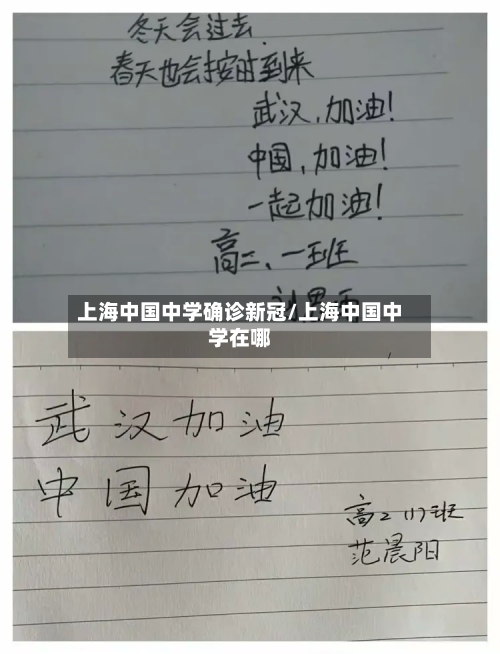 上海中国中学确诊新冠/上海中国中学在哪-第2张图片