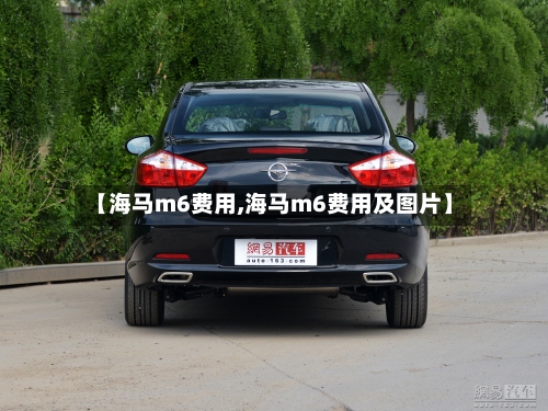 【海马m6费用,海马m6费用及图片】-第2张图片