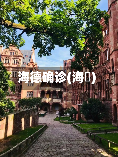 海德确诊(海徳)