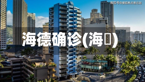 海德确诊(海徳)-第2张图片