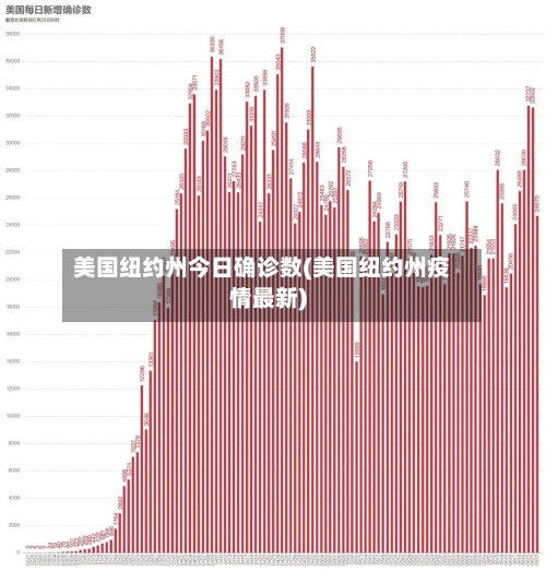 美国纽约州今日确诊数(美国纽约州疫情最新)-第2张图片