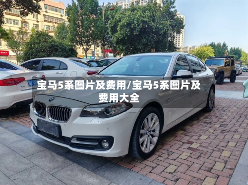 宝马5系图片及费用/宝马5系图片及费用大全-第2张图片