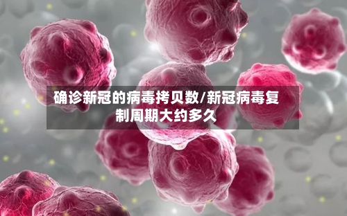 确诊新冠的病毒拷贝数/新冠病毒复制周期大约多久-第2张图片