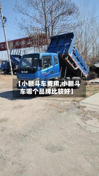 【小翻斗车费用,小翻斗车哪个品牌比较好】