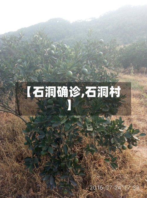 【石洞确诊,石洞村】-第2张图片