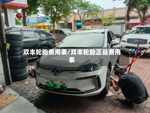 双丰轮胎费用表/双丰轮胎正品费用表-第2张图片