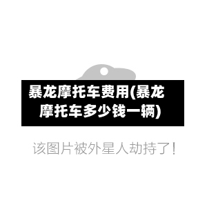 暴龙摩托车费用(暴龙摩托车多少钱一辆)-第2张图片