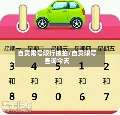 自贡限号限行被拍/自贡限号查询今天-第2张图片