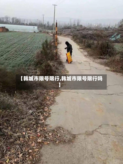 【韩城市限号限行,韩城市限号限行吗】-第3张图片