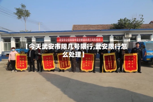 【今天武安市限几号限行,武安限行怎么处理】-第2张图片