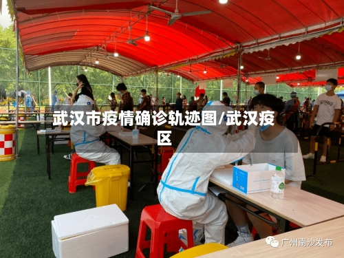 武汉市疫情确诊轨迹图/武汉疫区-第2张图片