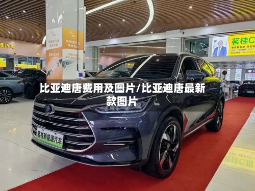 比亚迪唐费用及图片/比亚迪唐最新款图片-第3张图片