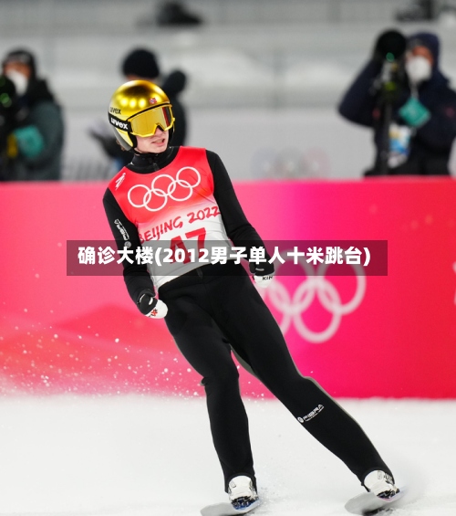 确诊大楼(2012男子单人十米跳台)-第3张图片
