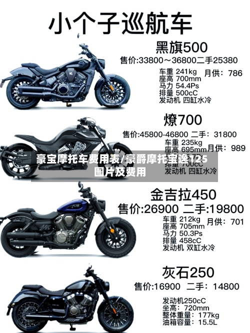 豪宝摩托车费用表/豪爵摩托宝逸125图片及费用