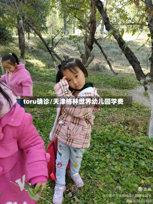 toru确诊/天津格林世界幼儿园学费