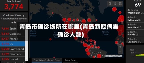 青岛市确诊场所在哪里(青岛新冠病毒确诊人数)-第2张图片