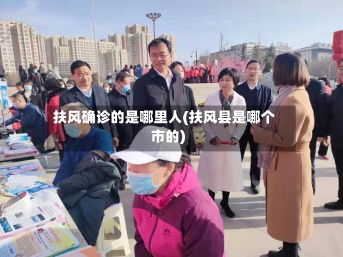 扶风确诊的是哪里人(扶风县是哪个市的)