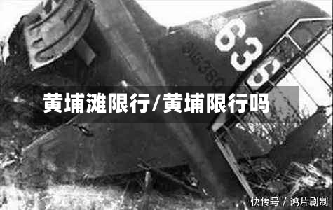 黄埔滩限行/黄埔限行吗-第2张图片