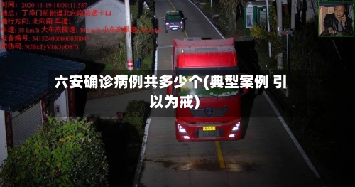 六安确诊病例共多少个(典型案例 引以为戒)