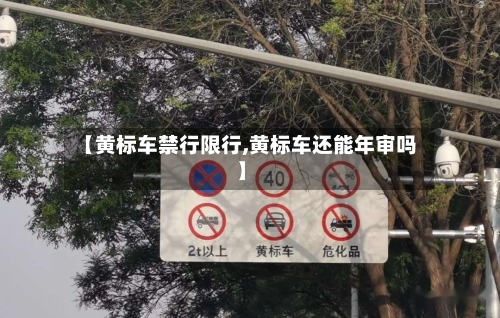 【黄标车禁行限行,黄标车还能年审吗】-第2张图片