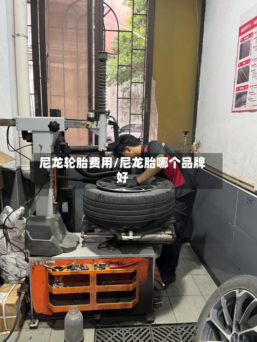 尼龙轮胎费用/尼龙胎哪个品牌好-第3张图片