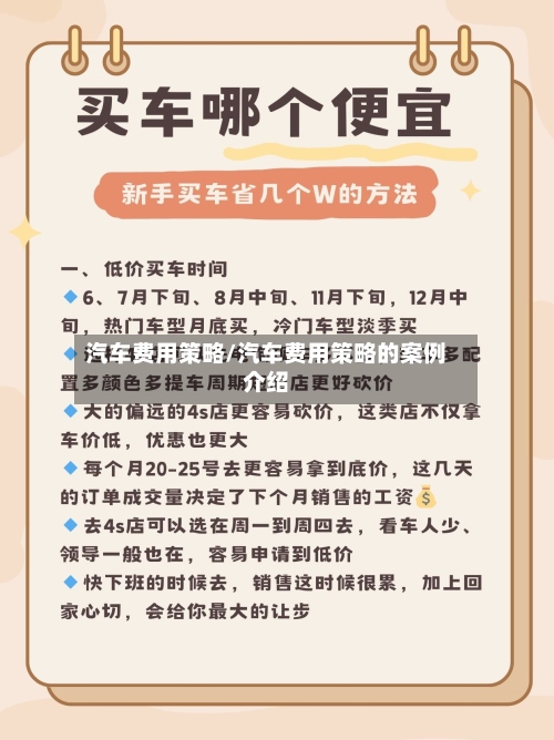 汽车费用策略/汽车费用策略的案例介绍