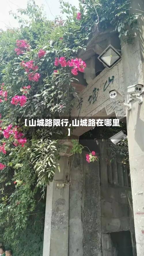 【山城路限行,山城路在哪里】