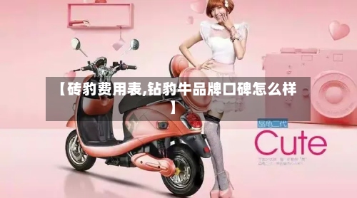 【砖豹费用表,钻豹牛品牌口碑怎么样】-第3张图片