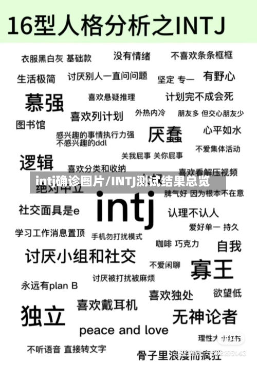 intj确诊图片/INTJ测试结果总览