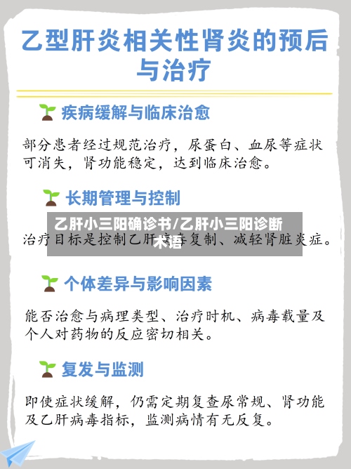 乙肝小三阳确诊书/乙肝小三阳诊断术语