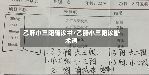 乙肝小三阳确诊书/乙肝小三阳诊断术语-第2张图片