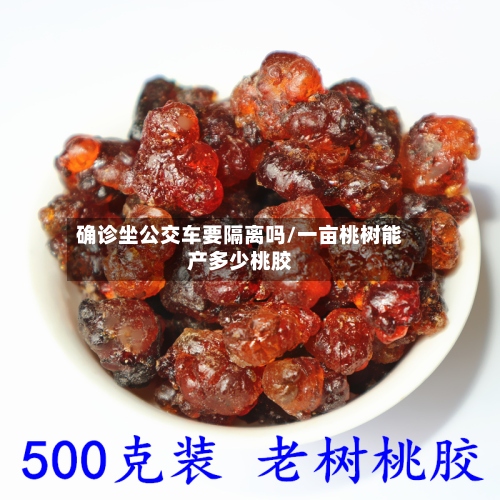 确诊坐公交车要隔离吗/一亩桃树能产多少桃胶