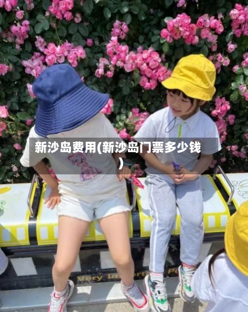 新沙岛费用(新沙岛门票多少钱)-第2张图片