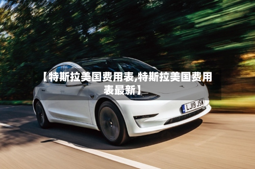 【特斯拉美国费用表,特斯拉美国费用表最新】-第2张图片