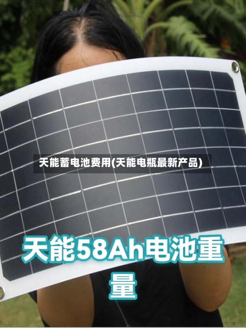 天能蓄电池费用(天能电瓶最新产品)-第2张图片
